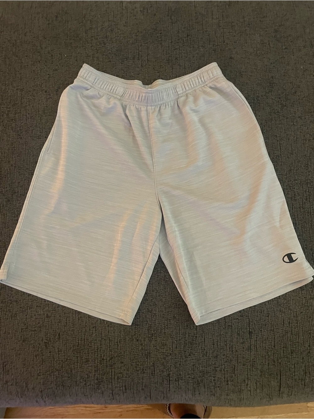 Champion Men's Heather Light Gray Performance Shorts